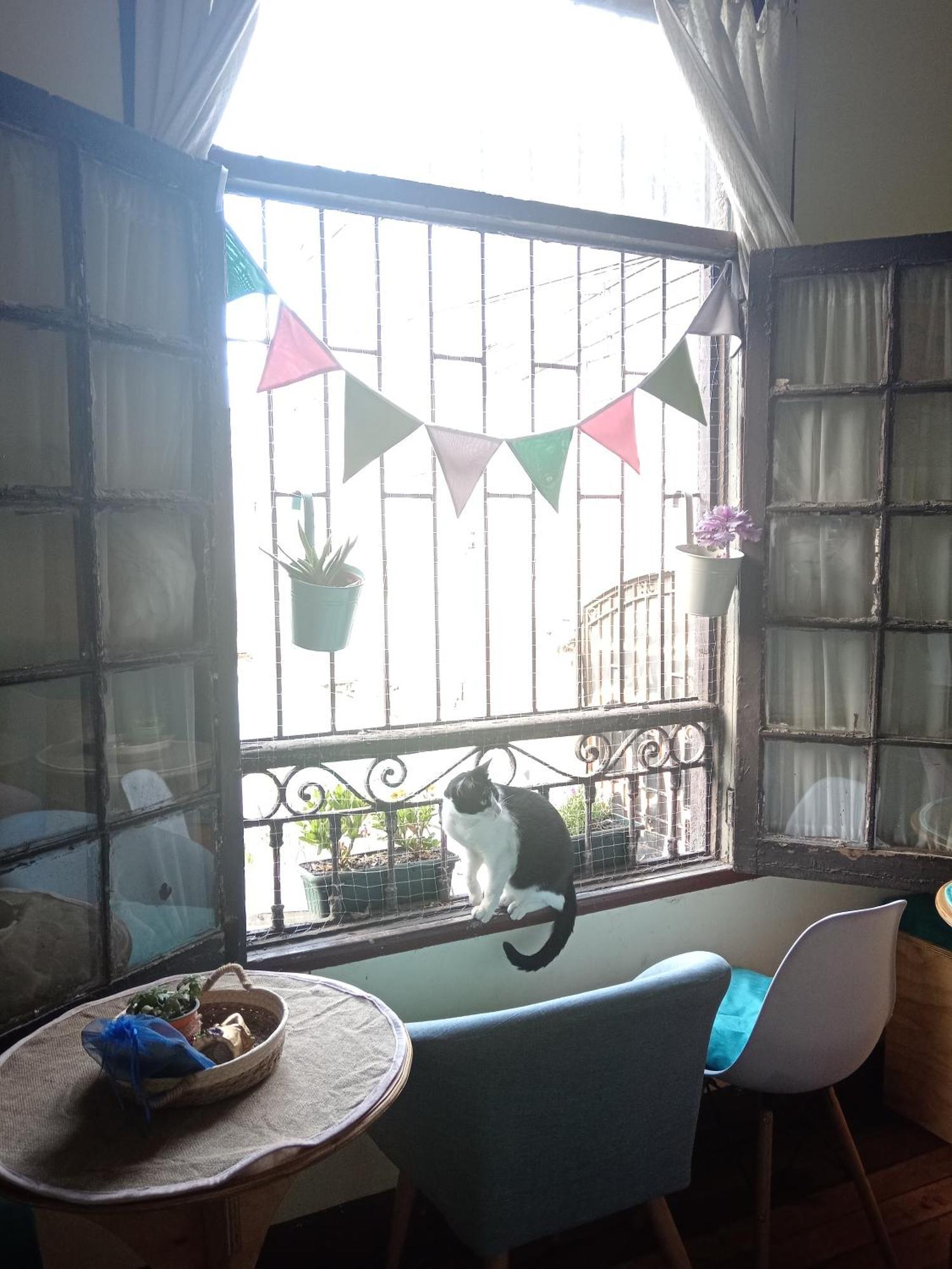 Centro De Bed & Breakfast Valparaíso