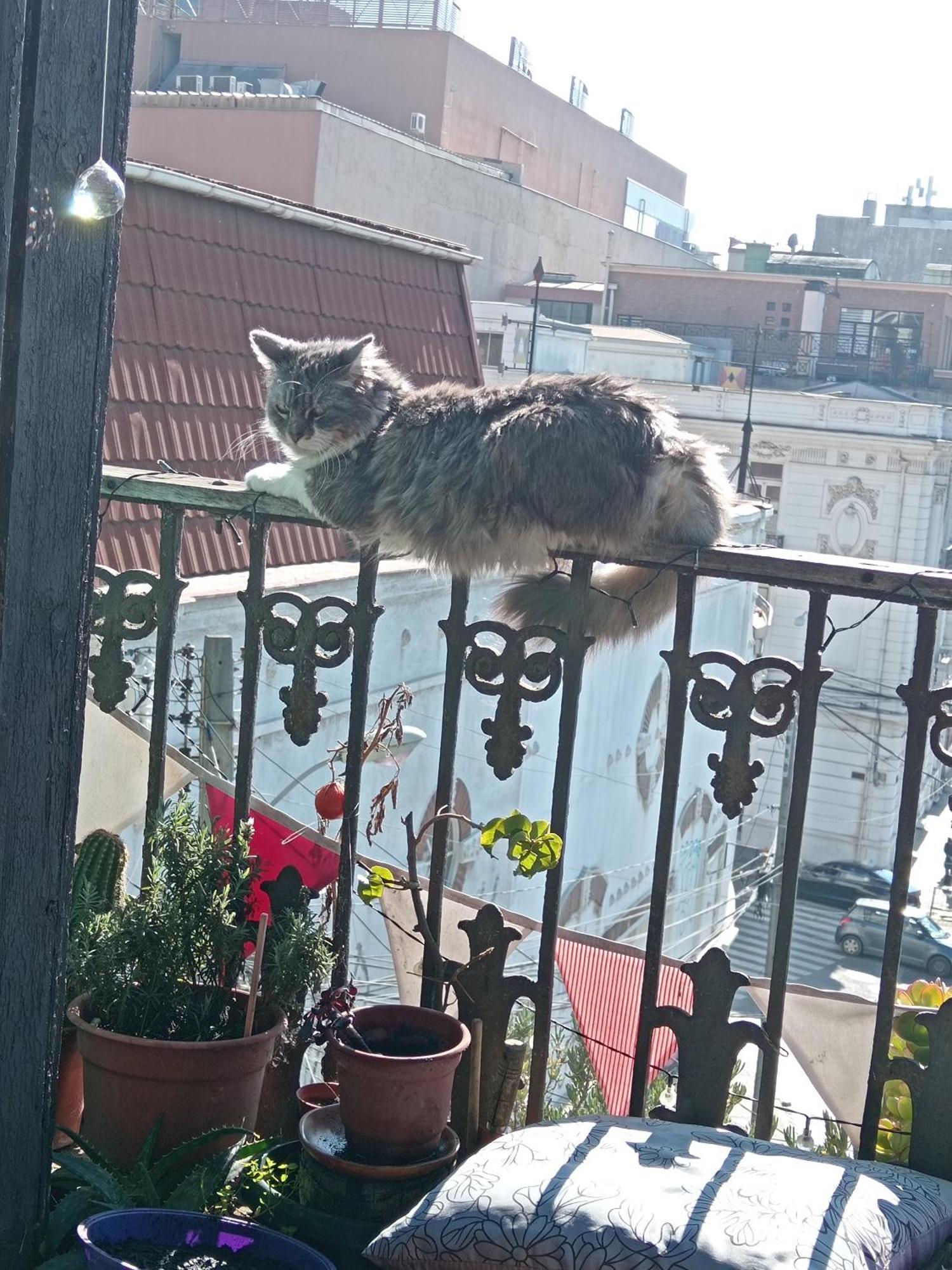Centro De *
